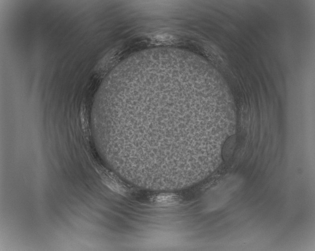 X0000059220173200511111531