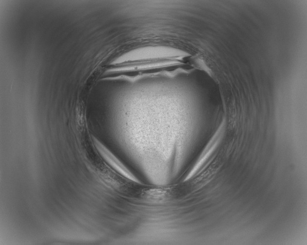 X0000059220176200511111531