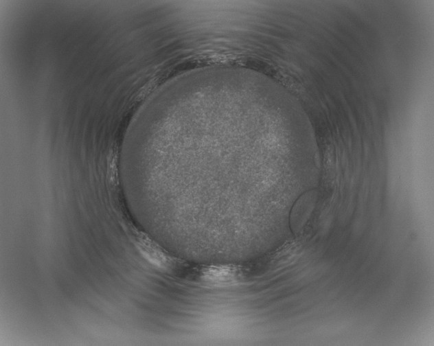 X0000059220177200511111531