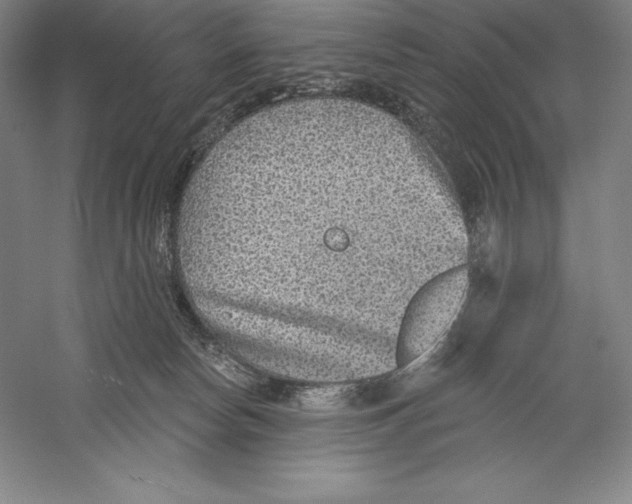 X0000059220178200511111531