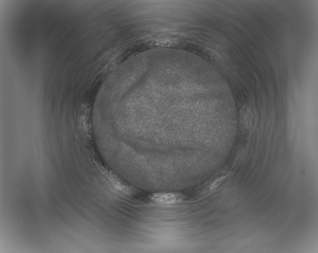 X0000059220181200511111531