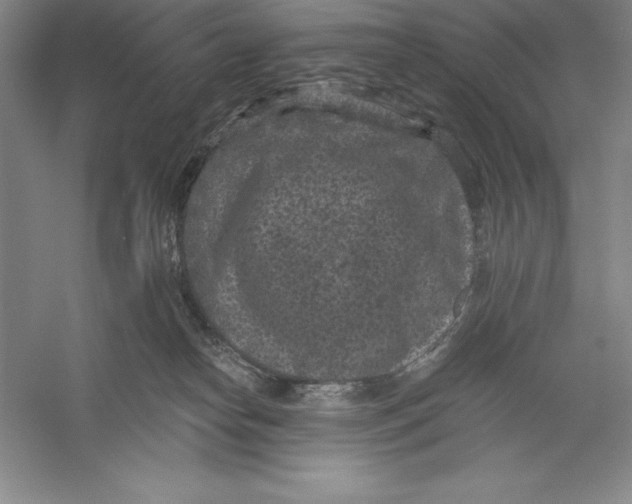 X0000059220182200511111531