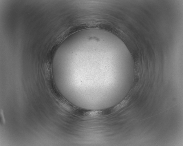 X0000059220184200511111531