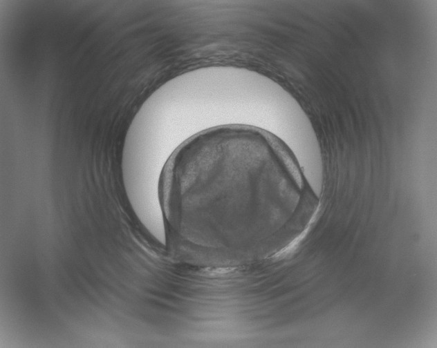 X0000059220186200511111531