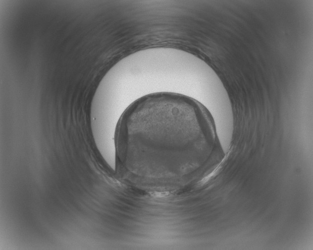 X0000059220187200511111531