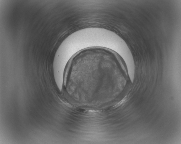X0000059220188200511111531