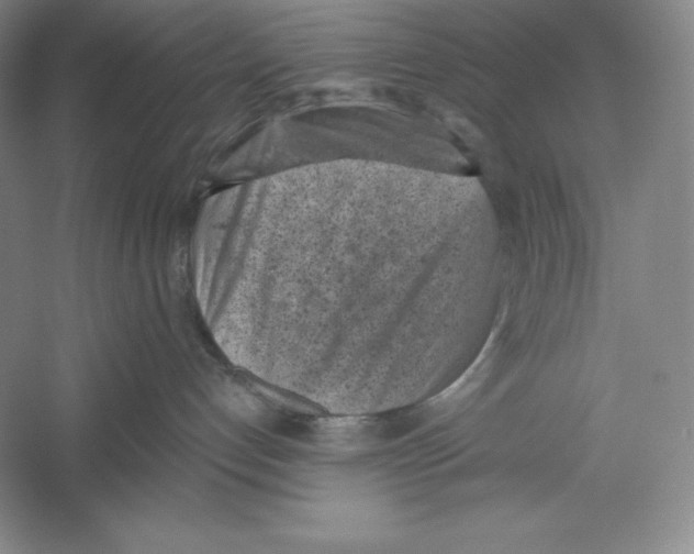 X0000059220192200511111532