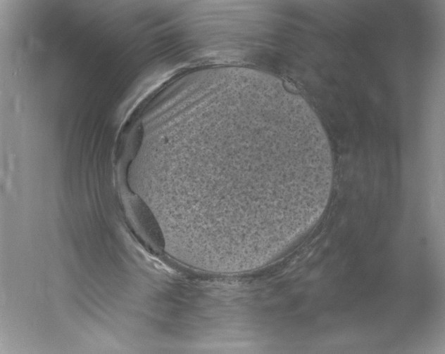 X0000059220194200511111531