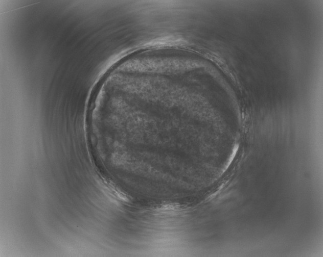 X0000059220196200511111531