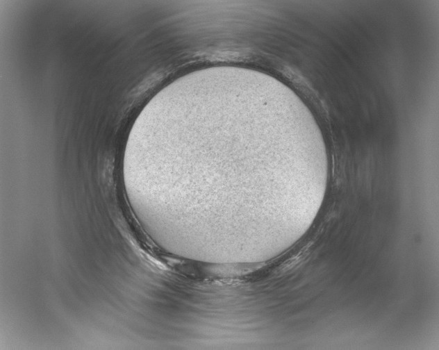 X0000059220201200511111531