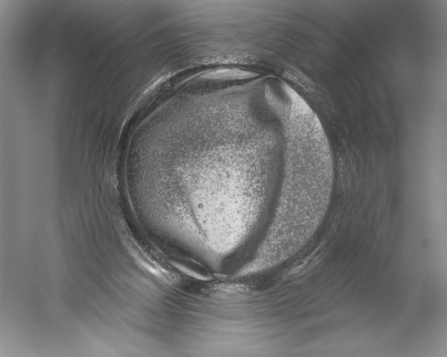 X0000059220203200511111531