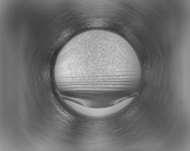 X0000059220207200511111531