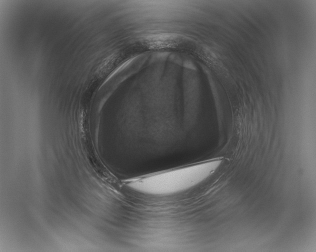 X0000059220219200511111530