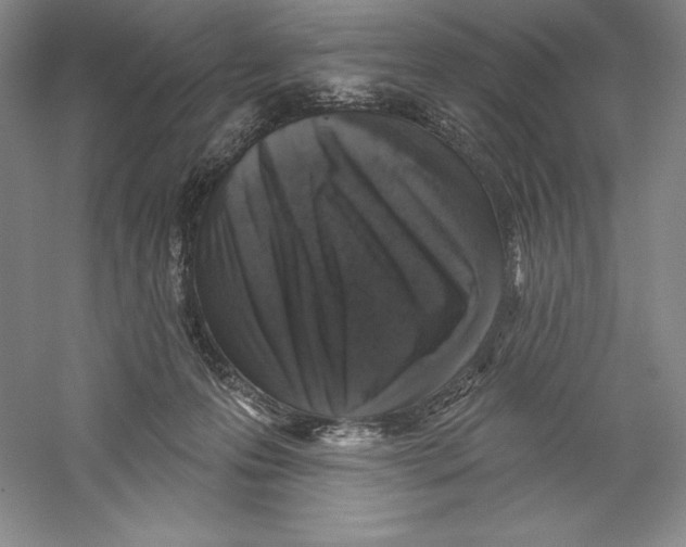 X0000059220223200511111530