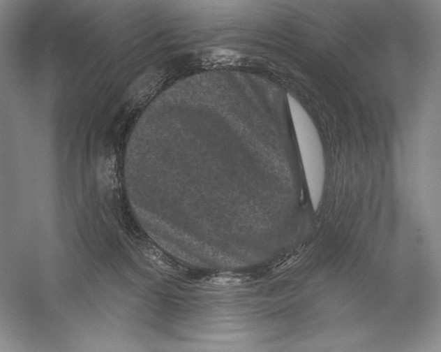 X0000059220224200511111530