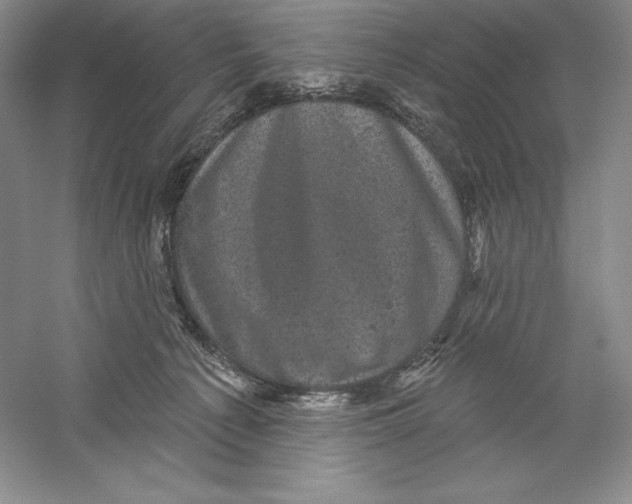 X0000059220225200511111530