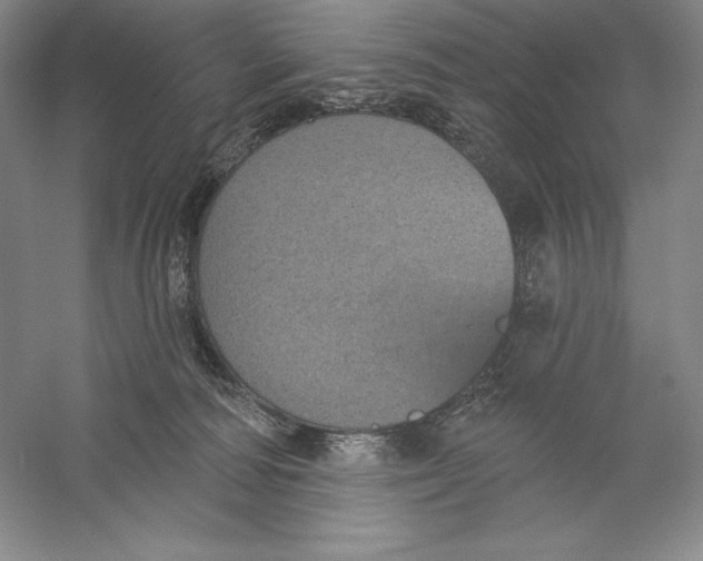 X0000059220226200511111530