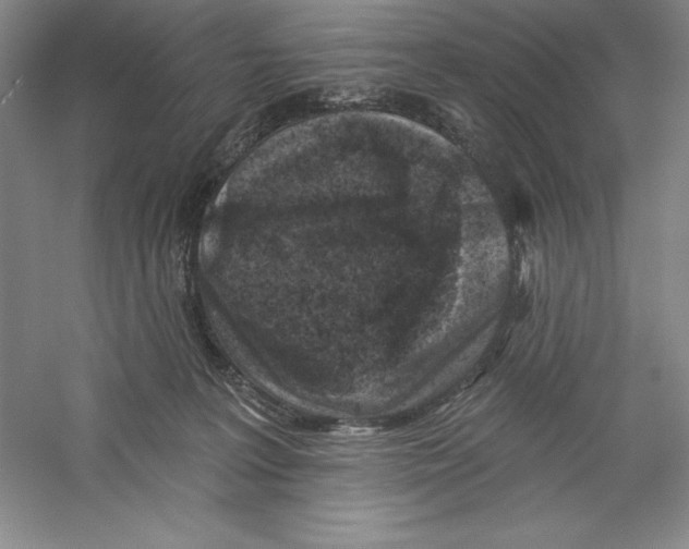 X0000059220227200511111530