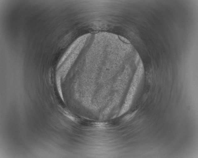 X0000059220233200511111530