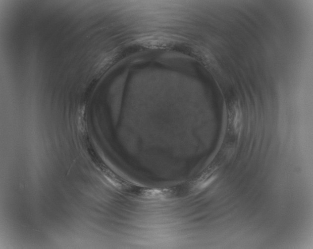 X0000059220239200511111530