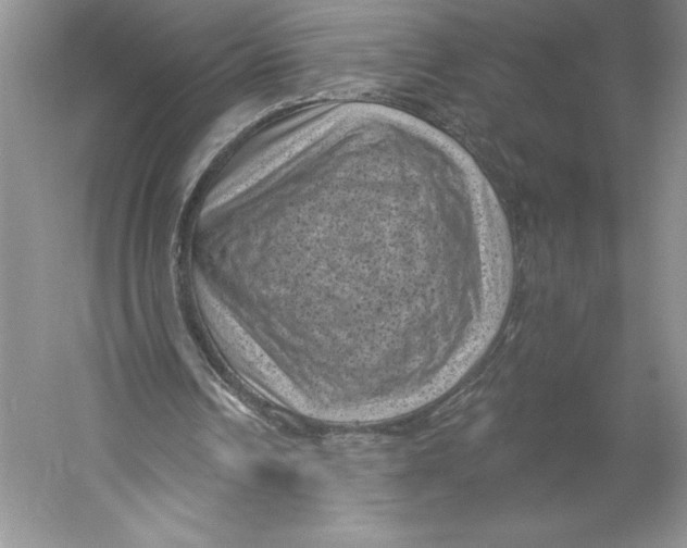 X0000059220242200511111529