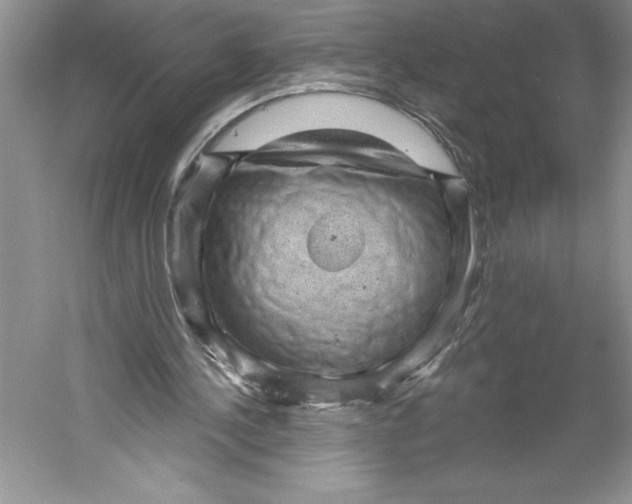 X0000059220244200511111529