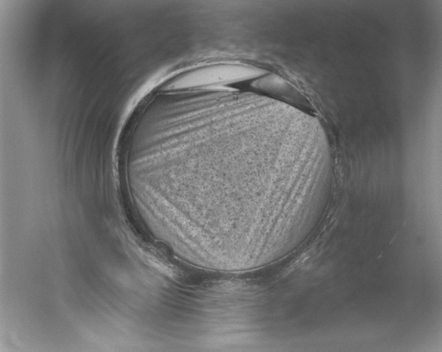 X0000059220246200511111529
