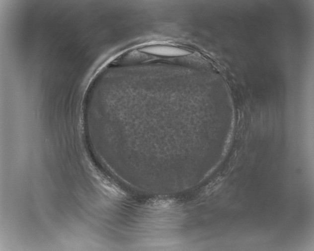 X0000059220247200511111529