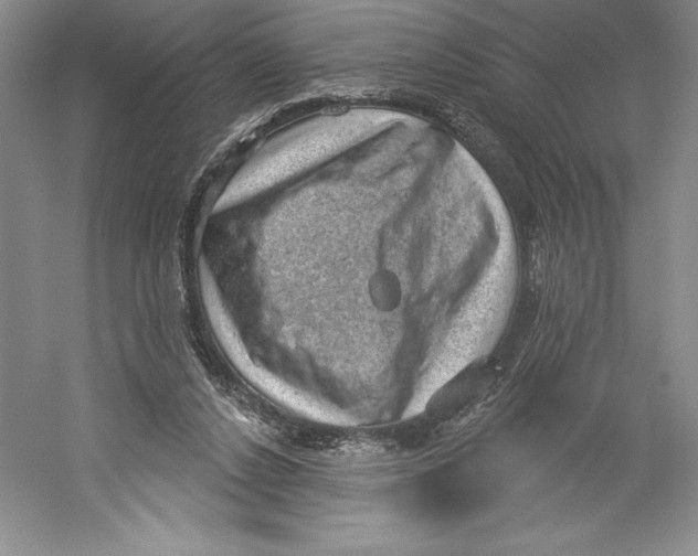 X0000059220256200511111529