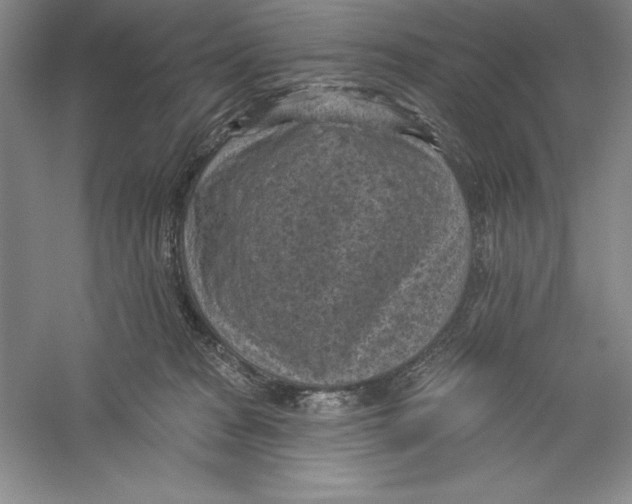 X0000059220277200511111530