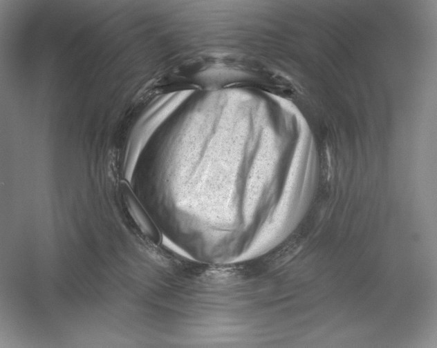 X0000059220280200511111530