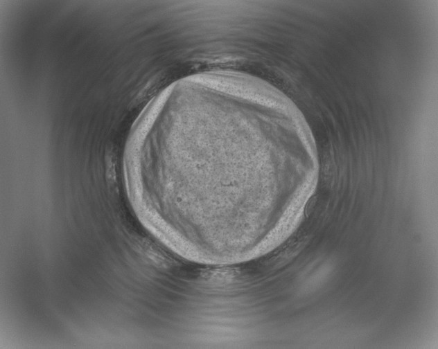 X0000059220282200511111530