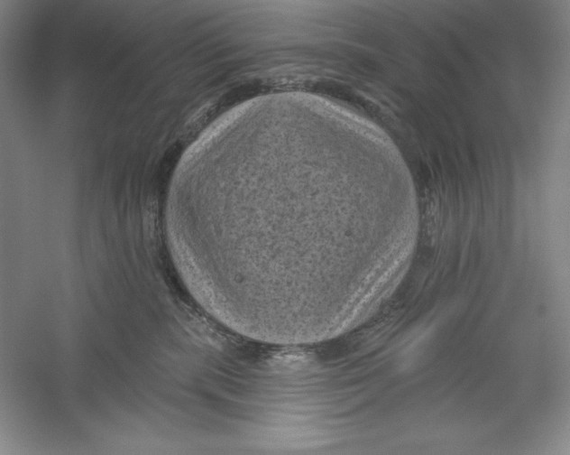 X0000059220283200511111530