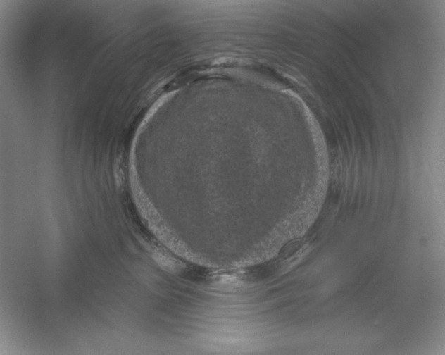 X0000059220285200511111530