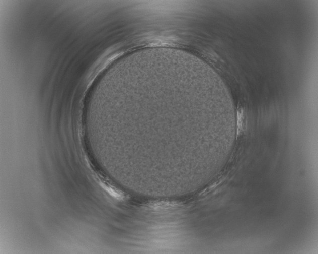 X0000059220291200511111529