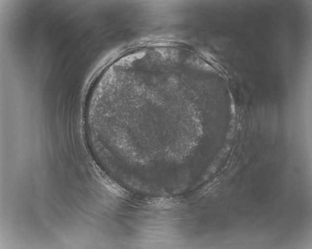X0000059220293200511111529