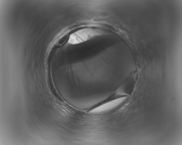 X0000059220295200511111529