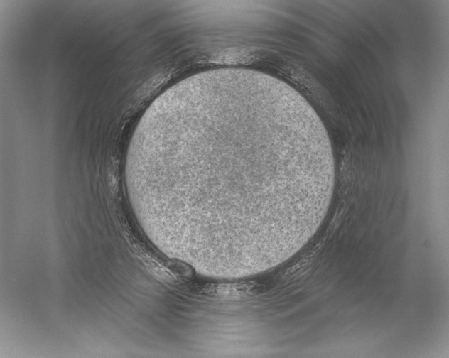 X0000059220305200511111529
