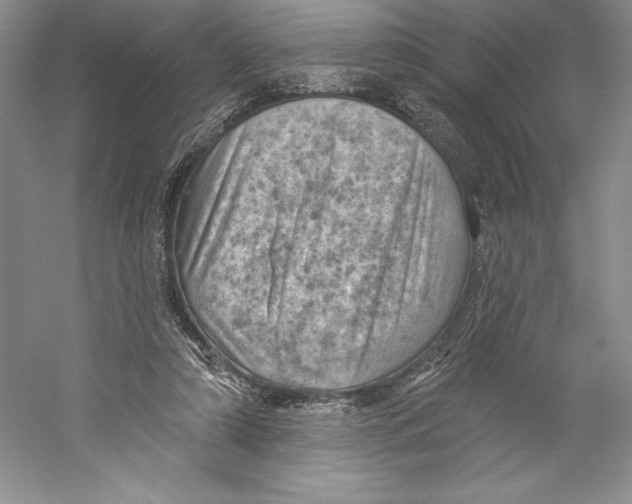 X0000059220306200511111529