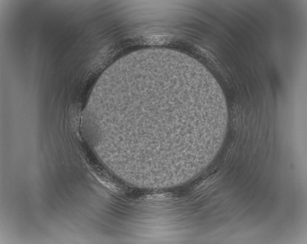 X0000059220307200511111529