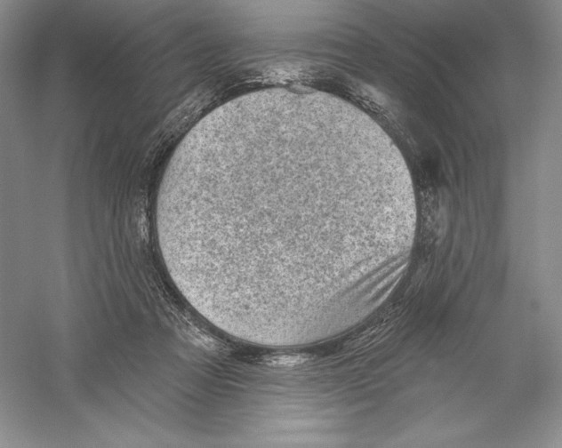 X0000059220313200511111529