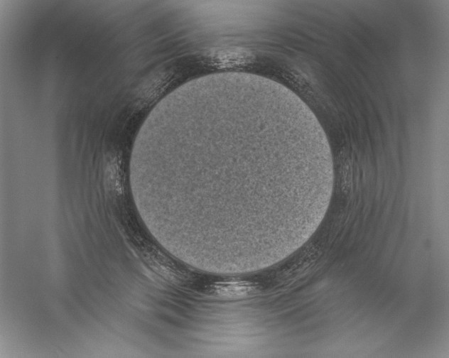X0000059220316200511111529