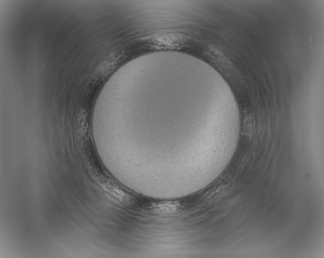 X0000059220318200511111529