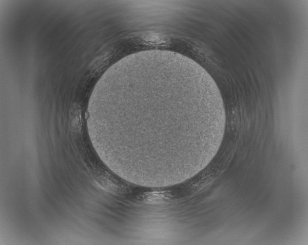 X0000059220320200511111529