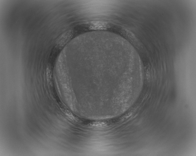 X0000059220322200511111529