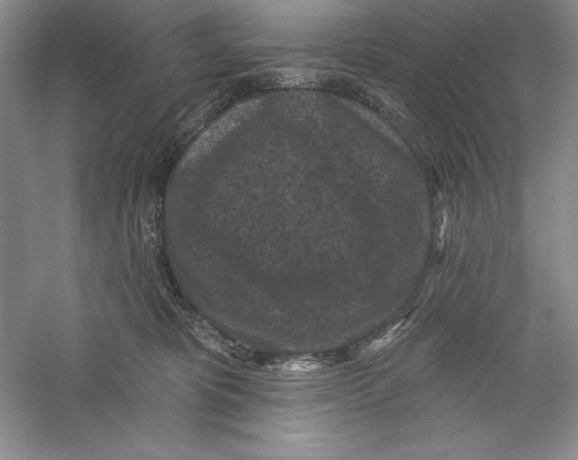 X0000059220325200511111528