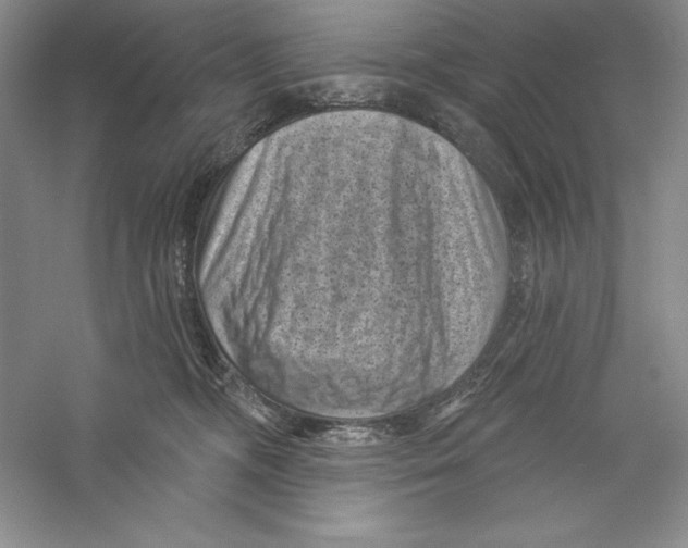 X0000059220326200511111528
