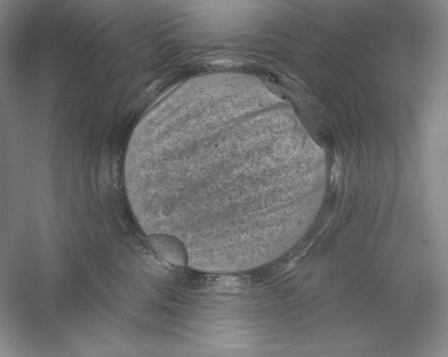 X0000059220330200511111528