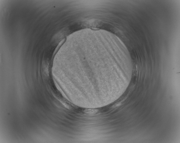 X0000059220334200511111528