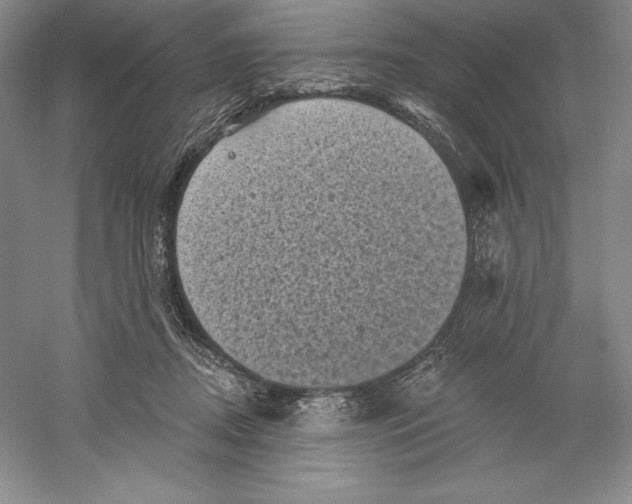 X0000059220362200511111528
